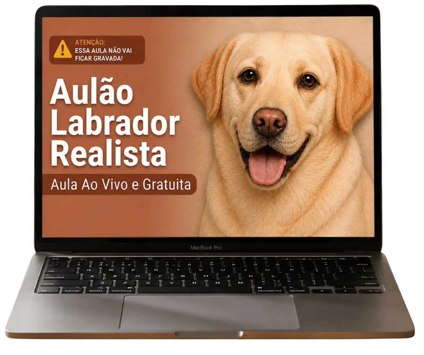 Aulão Labrador Realista — aula ao vivo e gratuita